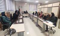 جلسه دفاع پروپوزال پایان نامه دانشجو محسن سیاحی.