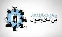 رئیس دانشگاه علوم پزشکی البرز: گزارش 15 هزار حیوان گزیدگی طی سال گذشته در استان