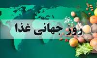24مهر ، روز جهانی غذا / نان کامل و اثرات مفید آن بر سلامتی