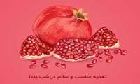 مدیربهبود تغذیه : تنوع و تعادل در انتخاب خوراکی‌ها کلید یک شب یلدای سالم است