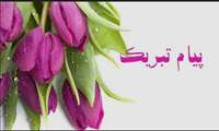 تبریک رئیس دانشکده خدمت اساتید برگزیده حوزه های مختلف آموزشی دانشکده و دانشگاه