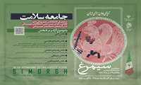 بخش‌های سیزدهمین جشنواره فرهنگی هنری نظام سلامت سیمرغ 